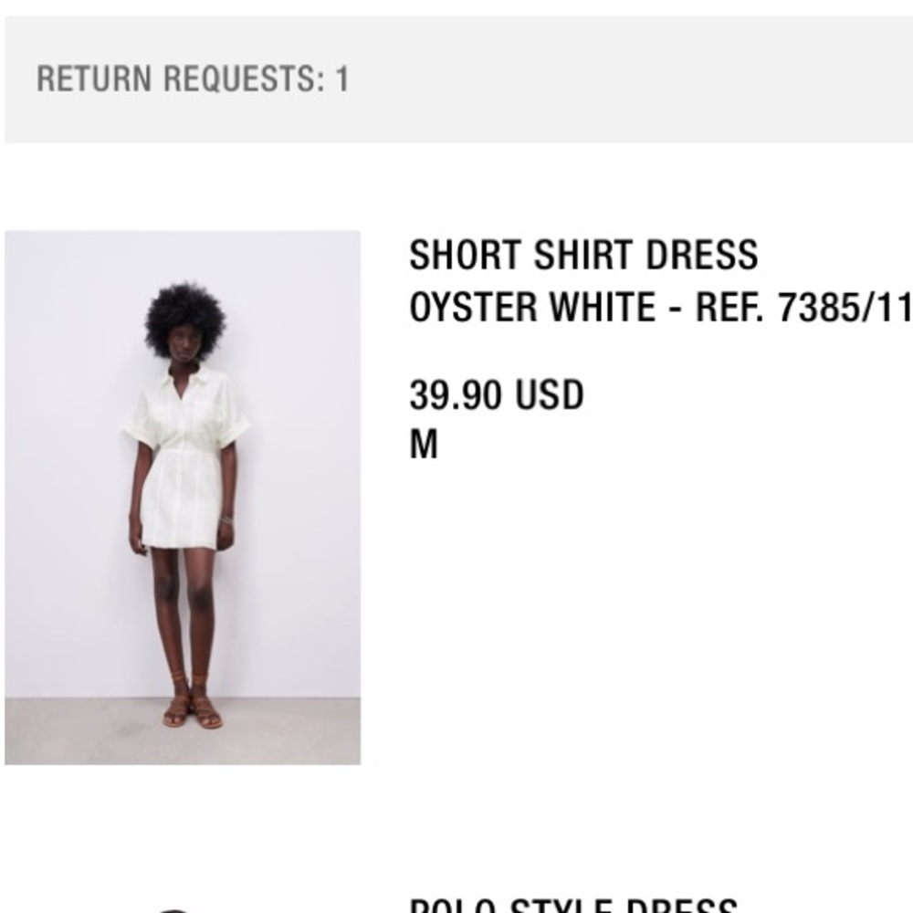Zara mini dress